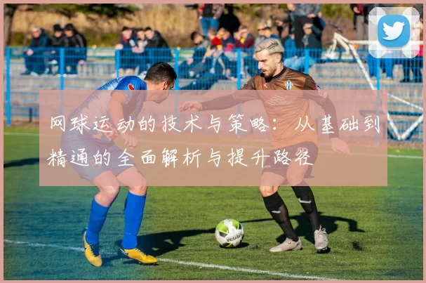 网球运动的技术与策略：从基础到精通的全面解析与提升路径