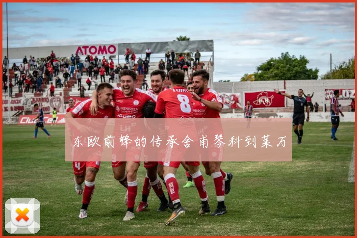 东欧前锋的传承舍甫琴科到莱万