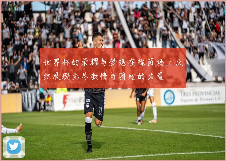 世界杯的荣耀与梦想在绿茵场上交织展现无尽激情与团结的力量