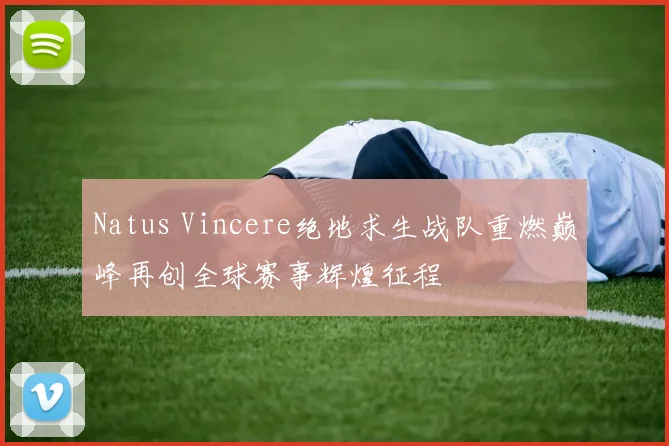 Natus Vincere绝地求生战队重燃巅峰再创全球赛事辉煌征程