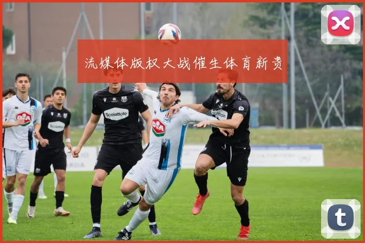 流媒体版权大战催生体育新贵