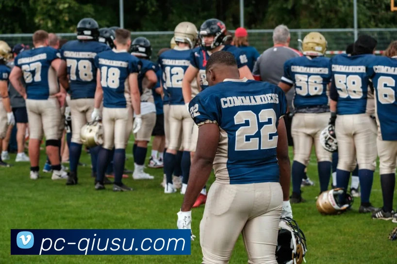 球速平台生态图