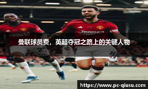 球速体育官网