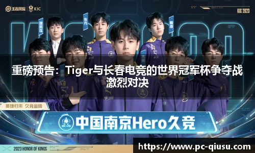 球速体育官网