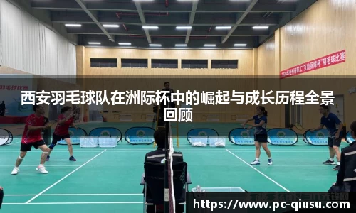 球速体育